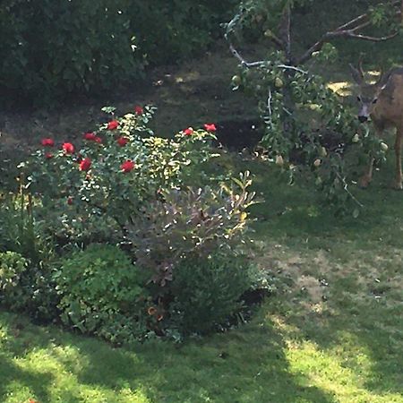 Lakeview Gardens B&B Peachland Εξωτερικό φωτογραφία